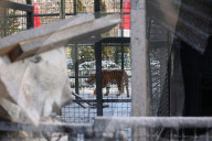 Russian Army Strikes Zoo with Guided Bomb - Kharkiv Region