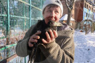 Russian Army Strikes Zoo with Guided Bomb - Kharkiv Region