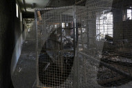 Russian Army Strikes Zoo with Guided Bomb - Kharkiv Region