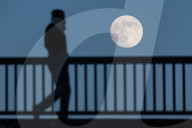 Germany: Wolf Supermoon 2026