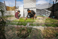 Gaza amputee struggles to support family