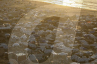 Displaced Gazans in beach tents
