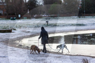 Icy weather for the New Year. 