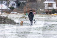 Icy weather for the New Year. 