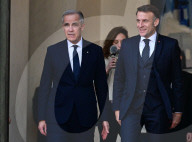 Le président Emmanuel Macron a rencontré le Premier ministre canadien Mark Carney au palais de l'Elysée à Paris
