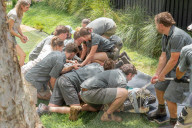 FEATURE - Zahnarztbesuch - Krokodil Elvis musste im Australian Reptile Park für eine Dentalbehandlung von mehr als zehn Tierpflegern gebändigt werden