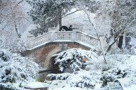 Paris Under The Snow - Paris
