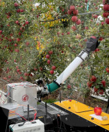 Cheap robotic fruit picking arm