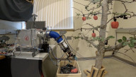 Cheap robotic fruit picking arm