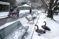 Illustration - Paris Under the Snow - Paris