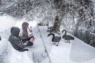 Illustration - Paris Under the Snow - Paris