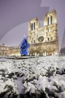Illustration - Paris Under the Snow - Paris