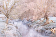 Icy weather for the New Year. 