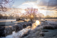 Icy weather for the New Year. 