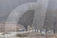 Icy weather for the New Year. 