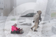 Germany Winter Weather 2026