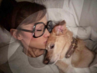 Les célébrités sur Instagram