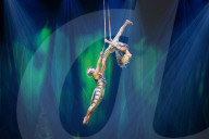 Cirque Du Soleil - OVO at The Royal Albert Hall, London