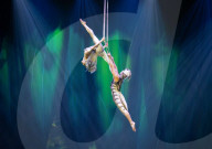 Cirque Du Soleil - OVO at The Royal Albert Hall, London