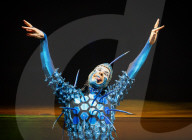 Cirque Du Soleil - OVO at The Royal Albert Hall, London