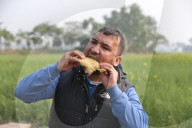 Honey Hunting - Bangladesh
