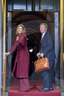 New Year's receptions King and Queen - Dutch guests, Amsterdam, The Netherlands