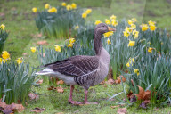 Milder weather for the South East this week. 