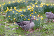 Milder weather for the South East this week. 