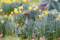 Milder weather for the South East this week. 