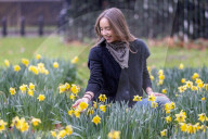 Milder weather for the South East this week. 