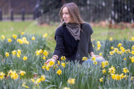 Milder weather for the South East this week. 