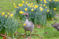 Milder weather for the South East this week. 