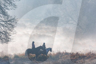 Icy and Misty weather for London the South East today.