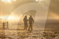 Icy and Misty weather for London the South East today.