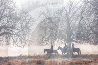 Icy and Misty weather for London the South East today.