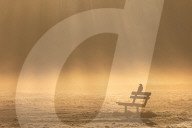 Icy and Misty weather for London the South East today.