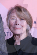 American Cinematheque 2026: Arrivals