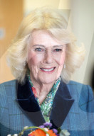 Queen Camilla in Cheltenham