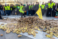 Spain: Farmers Protest