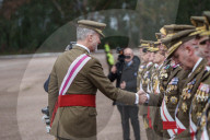 King Felipe during ceremony at Troop Training center - Caceres
