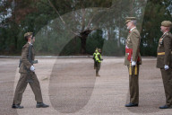 King Felipe during ceremony at Troop Training center - Caceres