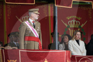 King Felipe during ceremony at Troop Training center - Caceres