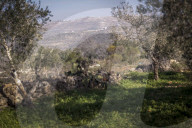 Settlers Attack Palestinian Family - West Bank