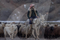 Nomadic Shepherds of Kurdistan - Erbil