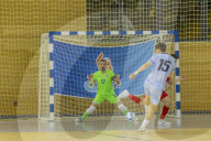 ‘We are fighters, it’s in our DNA’: Greenland find pride in rare tilt at futsal glory