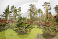 Damage caused in Cornwall by Storm Goretti