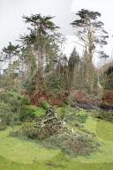 Damage caused in Cornwall by Storm Goretti