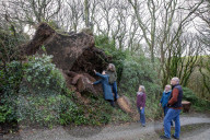 Damage caused in Cornwall by Storm Goretti