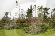 Damage caused in Cornwall by Storm Goretti