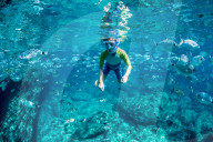 Illustration - Corsica